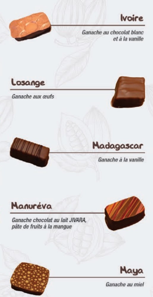 GANACHE (3).png